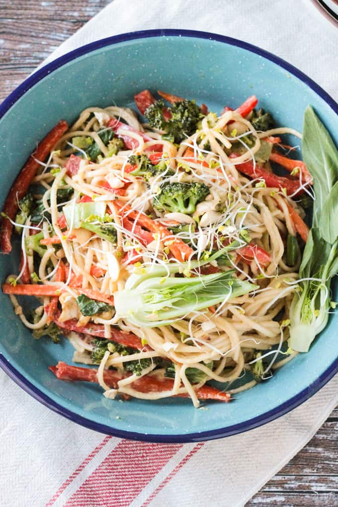 Close up shot of a bowl of veggie lo mein with red peppers, broccoli, and baby bok choy.