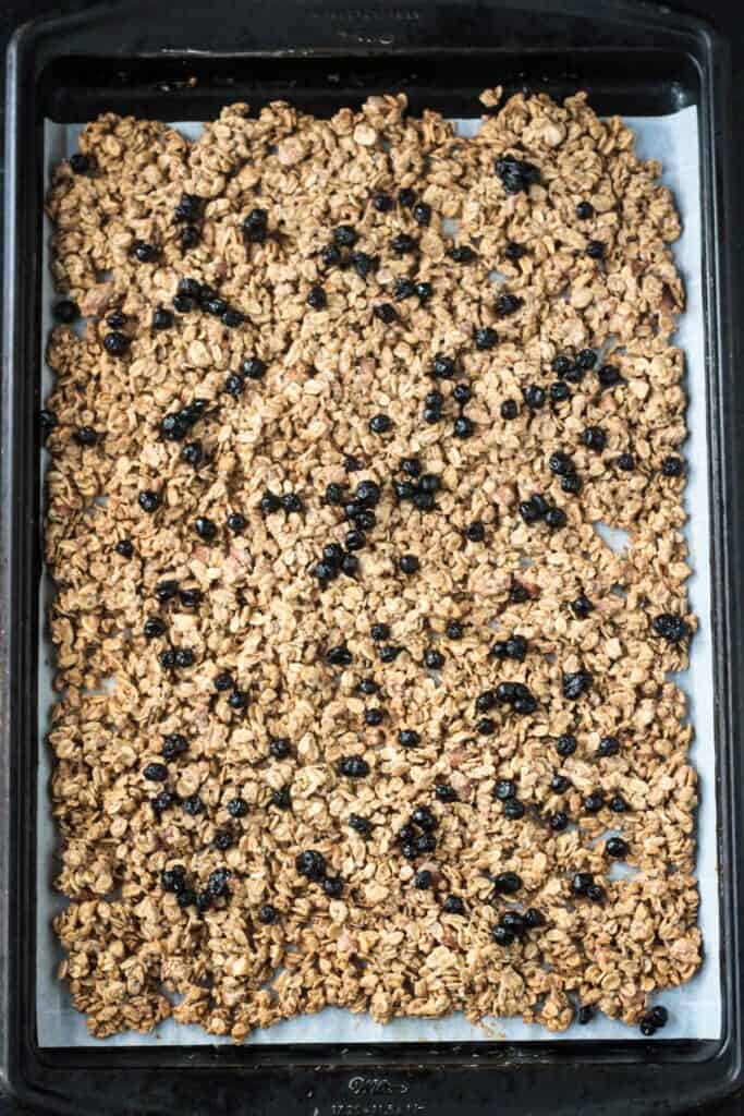 Dried blueberries sprinkled over the baked crunchy oats.