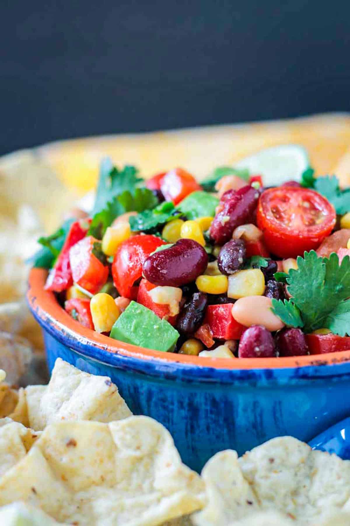 Close up of a kidney bean and chunk of avocado in bean dip.