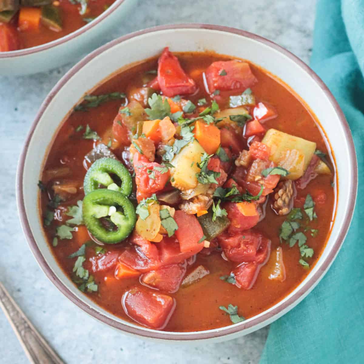 Garden Vegetable Beanless Chili Veggie Inspired