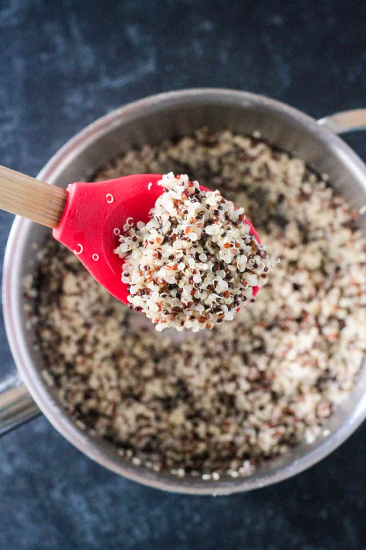 Cooked quinoa in a pot.