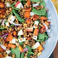 Quinoa Spinach Salad with cubed butternut squash and apples.