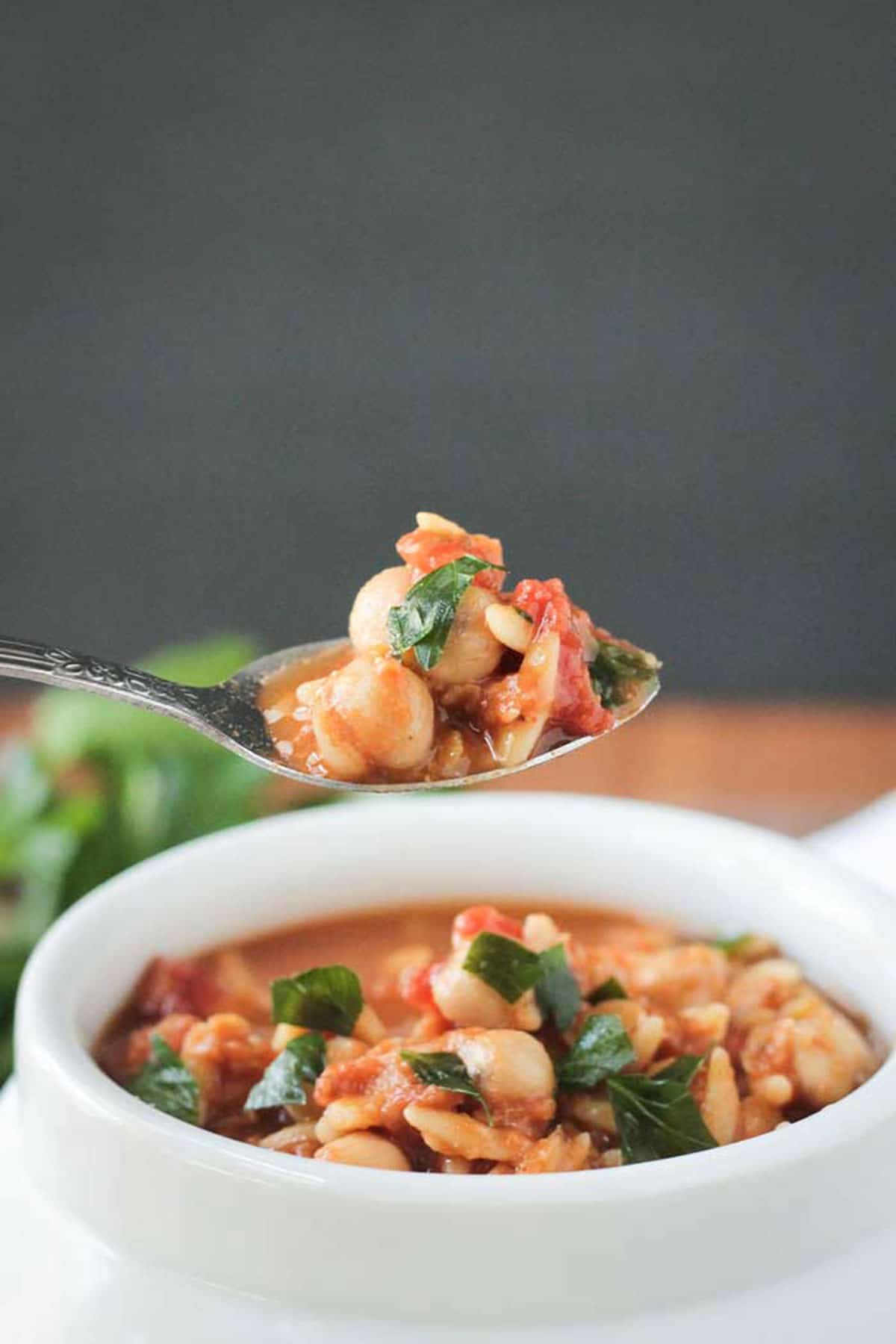 Spoonful of soup being lifted out of a bowl.