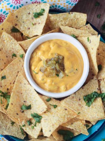 Bowl of vegan queso surrounded by tortilla chips.