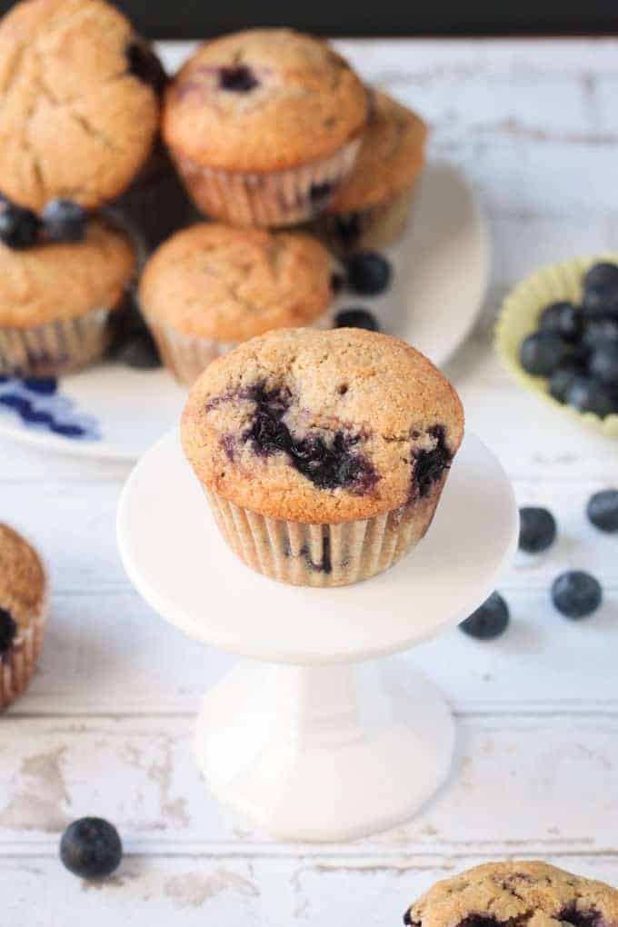 One vegan blueberry muffin on a cupcake stand. Fresh blueberries scattered around beneath.