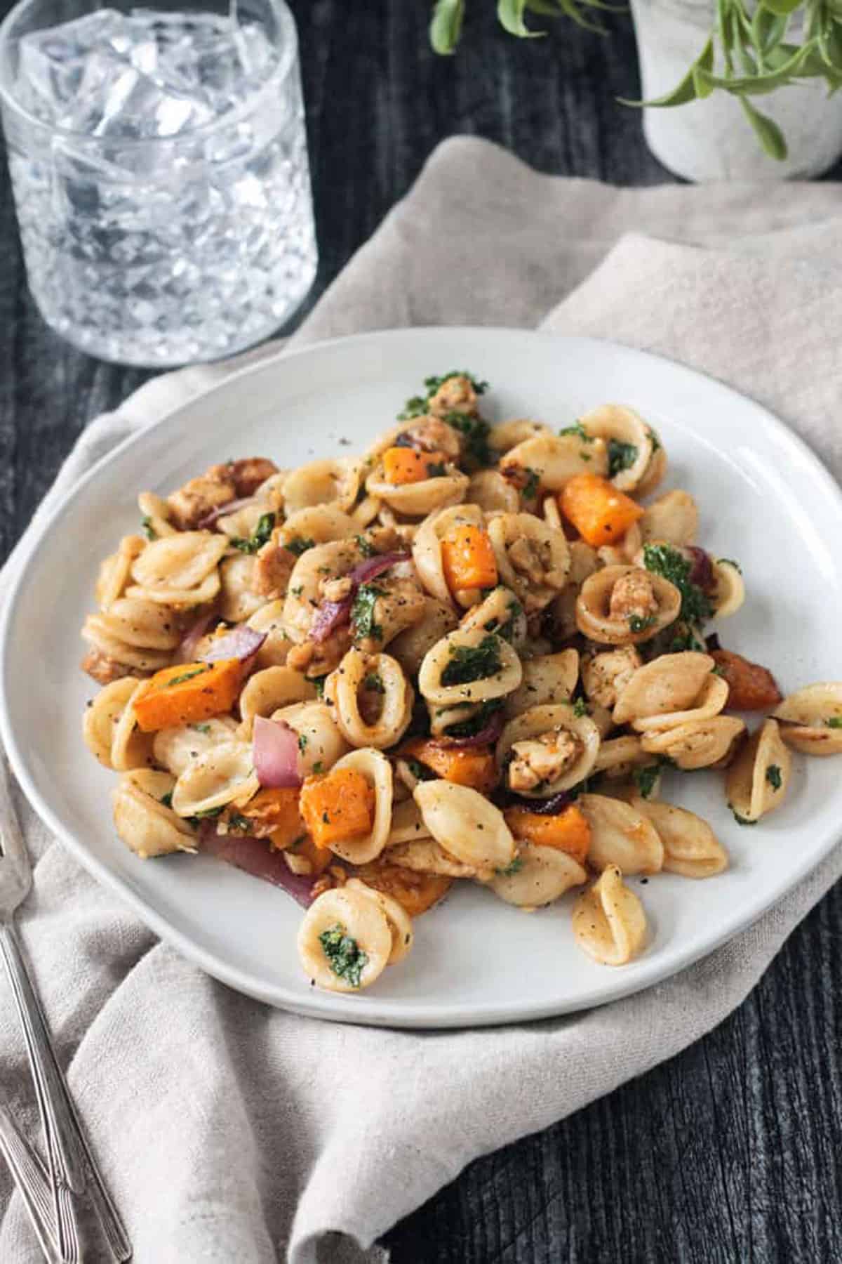 Orecchiette pasta with roasted cubed squash, crumbled tempeh, and kale.