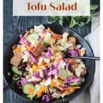 Asian Salad Image for pinterest