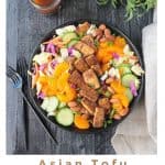 Asian Salad Image for pinterest