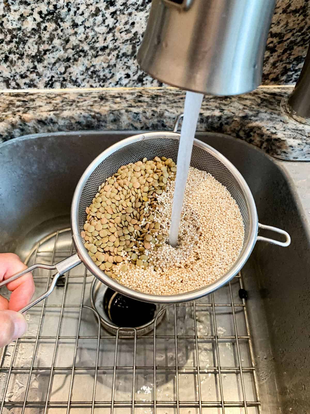 Lentils and quinoa in a mesh strainer being rinsed under water.