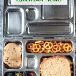 Stainless steel bento style lunch box filled with vegan foods.