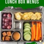Stainless steel bento style lunch box filled with vegan foods.