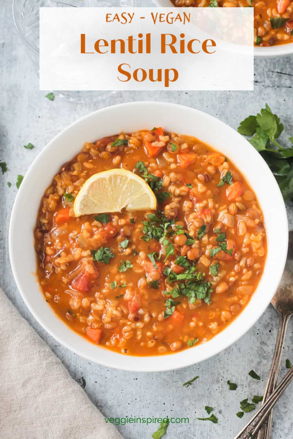 Lentil Rice Soup (Vegan, Gluten Free) Veggie Inspired