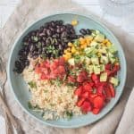 Vegan burrito bowl with rice, beans, corn, peppers, salsa, and avocado on a plate.