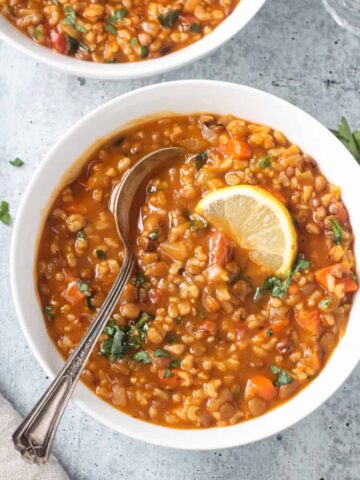 Metal spoon in a bowl of lentil rice soup.