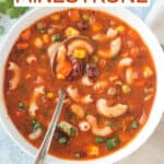 Spoon in a bowl of minestrone soup with noodles.