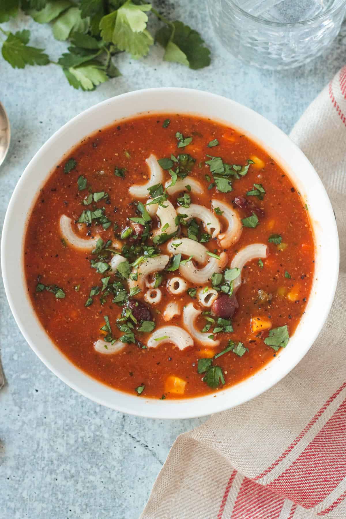 Overhead view of a bowl of veggie soup topped with macaroni noodles.