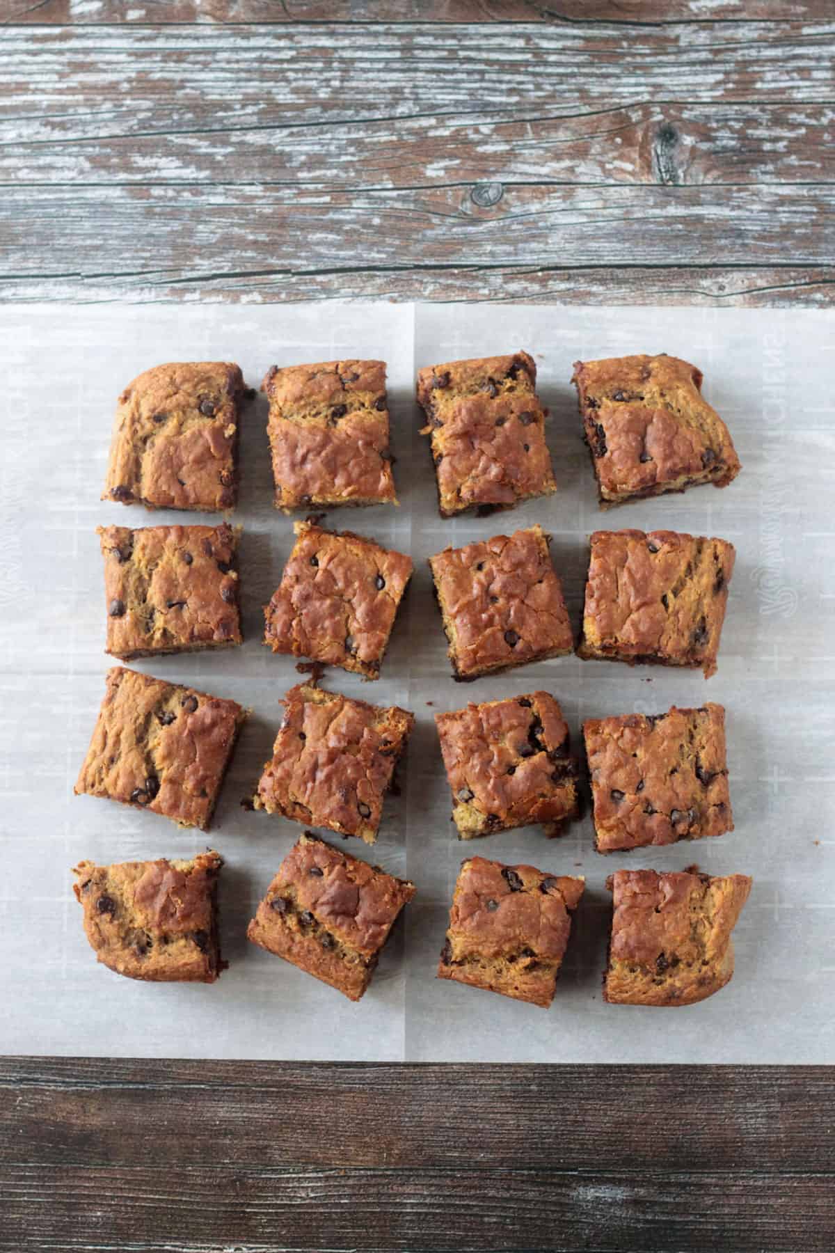 Pieces of cake lined up in a large square on a piece of parchment paper.