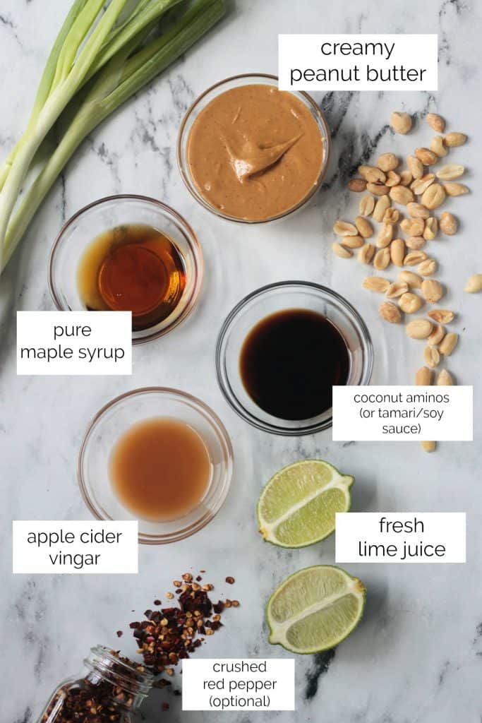 Quick and Easy Peanut Sauce (5 Minute Recipe!) Veggie Inspired