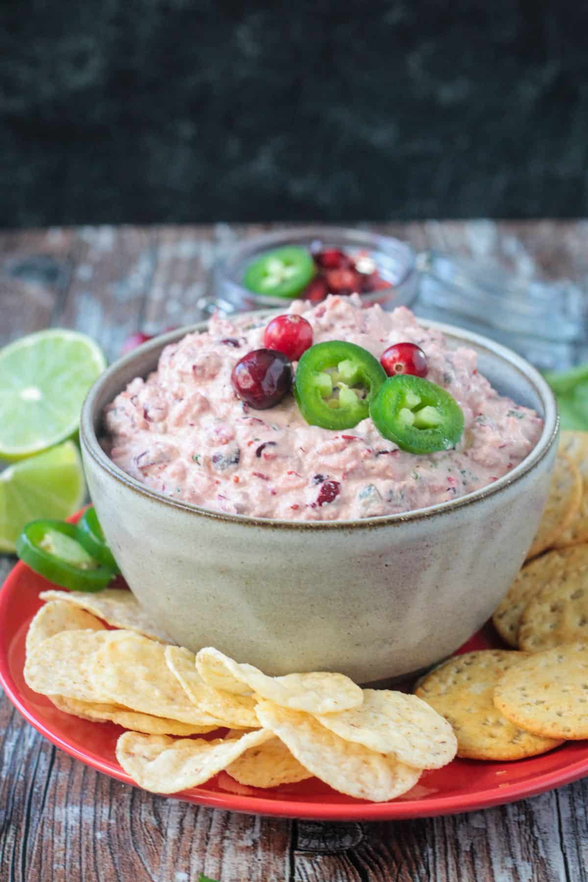 Gray ceramic bowl filled with dip on a red plate with chips.