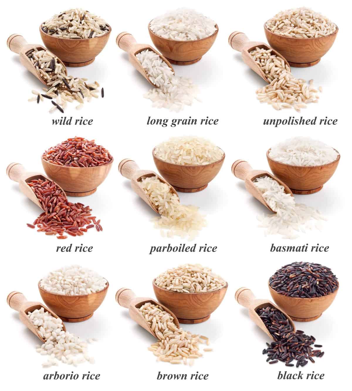 9 varieties of rice in individual bowls.