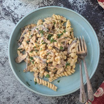 Creamy mushroom pasta in a blue flat bowl with two forks.