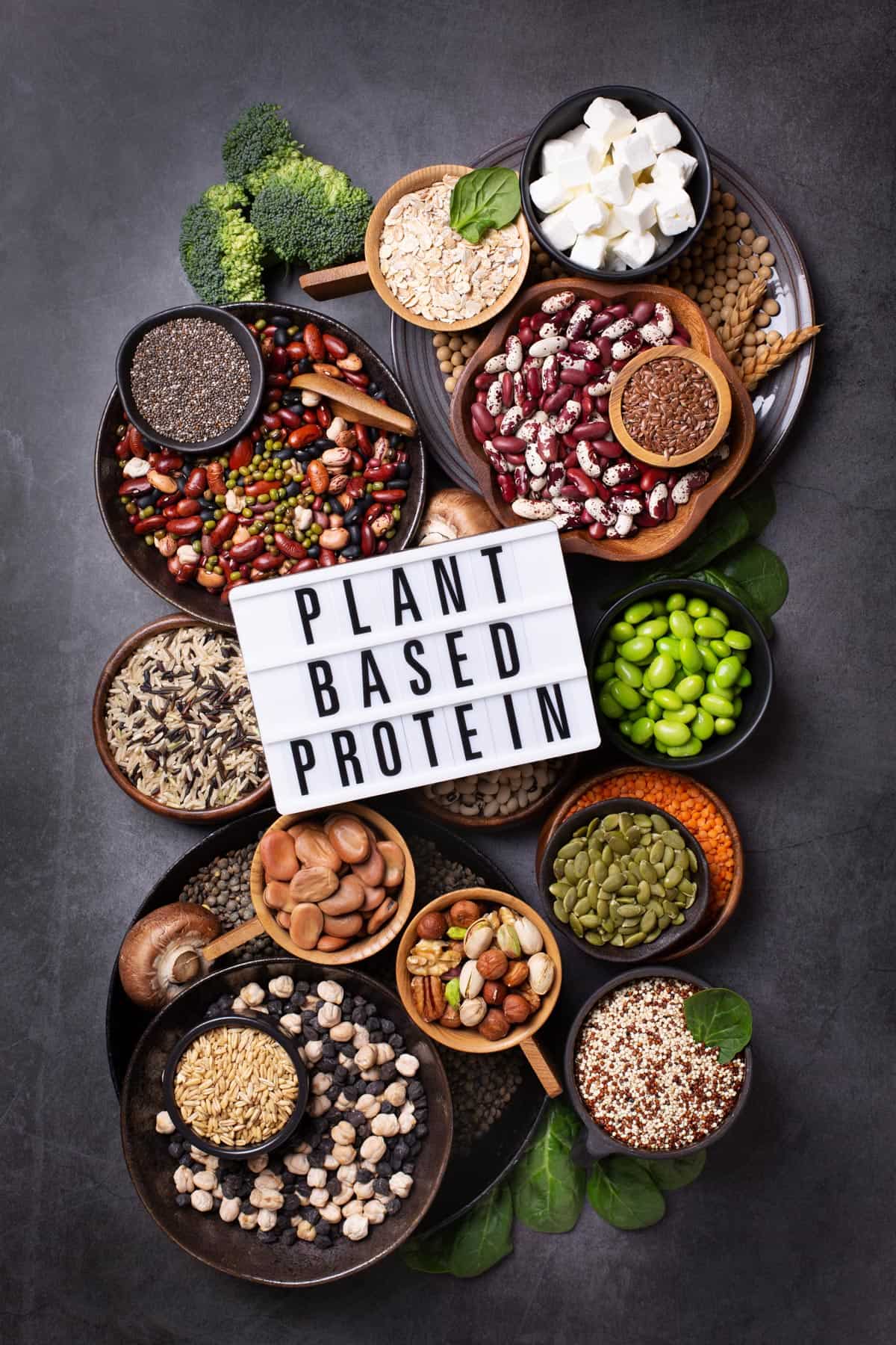 Plant protein varieties arrayed in individual bowls.