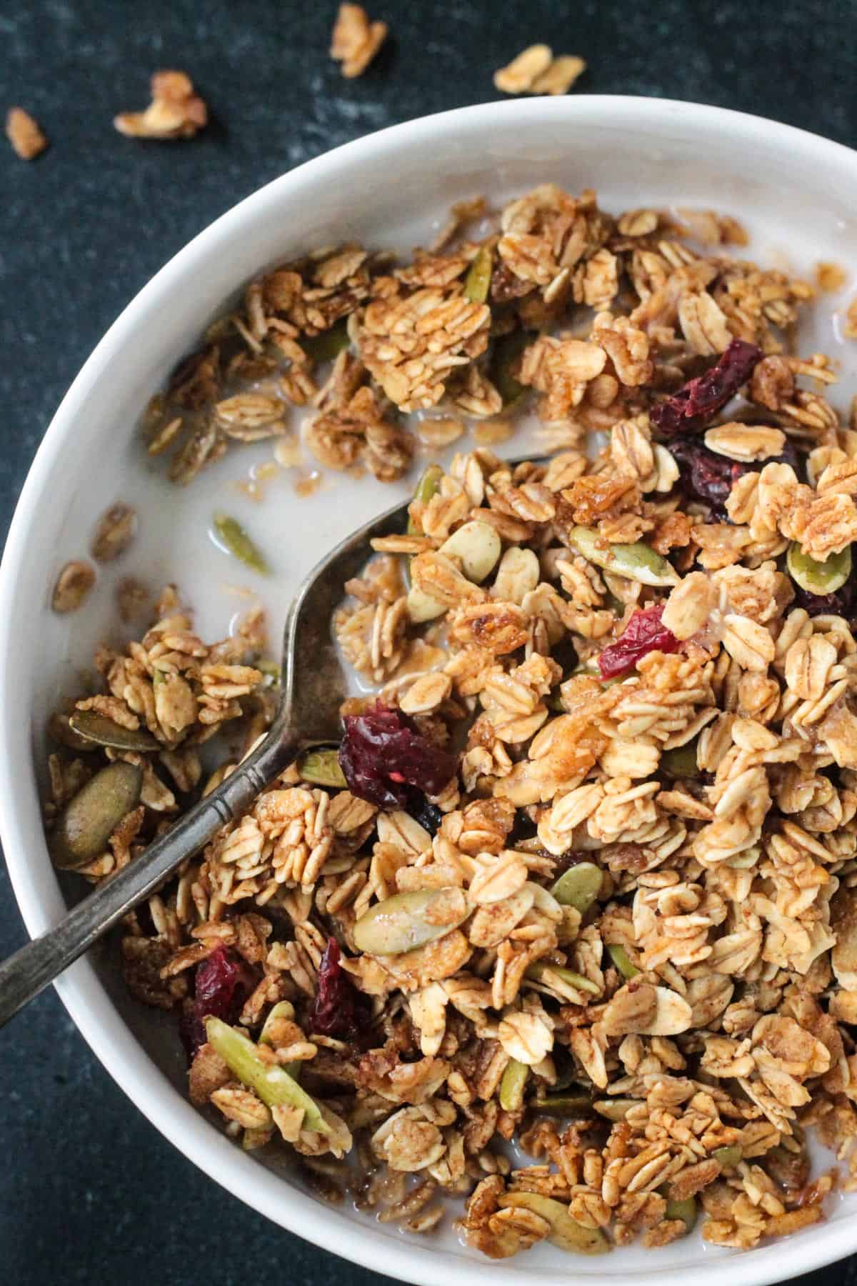 Close up of crunchy clusters of granola with cranberries in a bowl of milk.