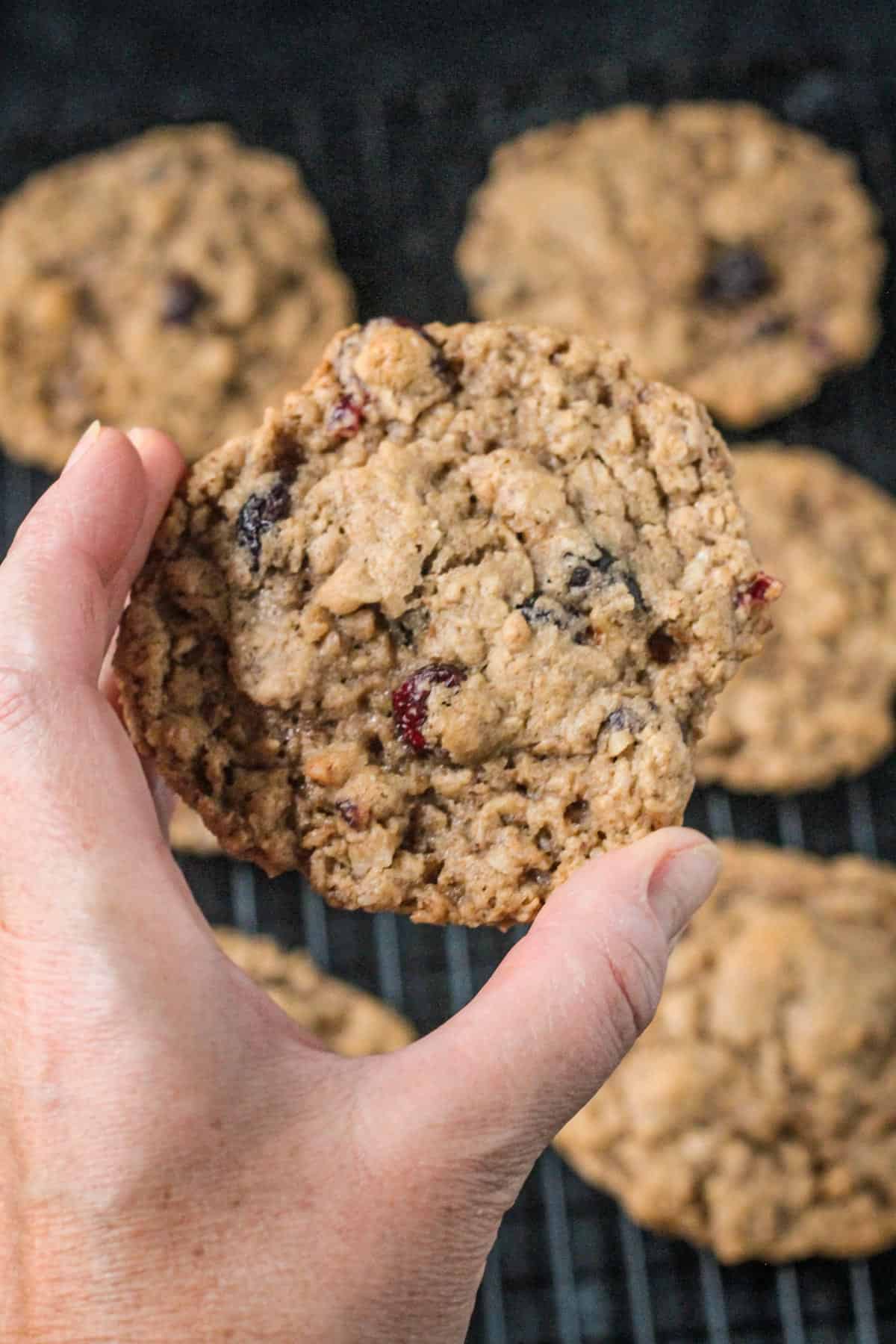 Hand holding one large oatmeal cranberry walnut cookie.
