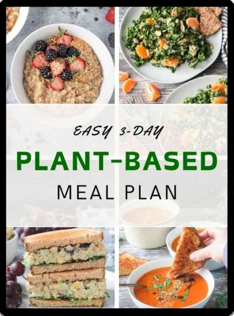 3 Day Meal Plan ebook cover.